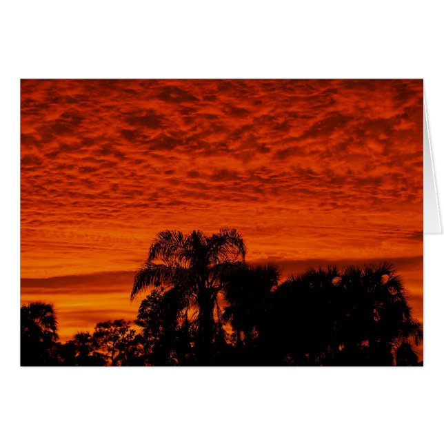 Florida Sunset Hälsningskort (Framsidan Horizontal)