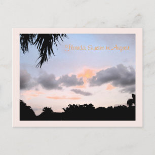 Florida Sunset i augusti Vykort