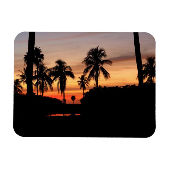 Florida sunset magnet (Horisontell)