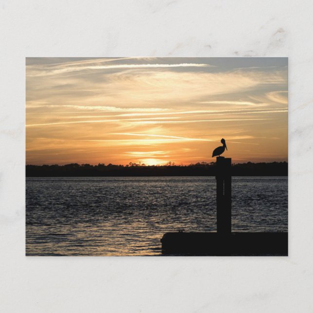 Florida Sunset med Pelican Vykort (Framsida)