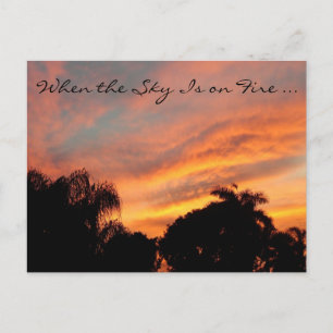 Florida Sunset Postcard / När Himmel är i brand Vykort