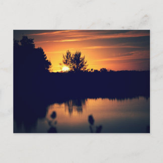 Florida Sunset Postcard Vykort