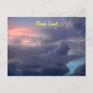 Florida sunset Postcard Vykort