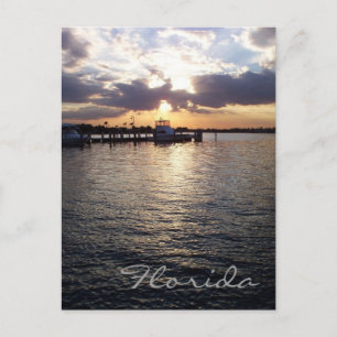 Florida Sunset Postcard Vykort