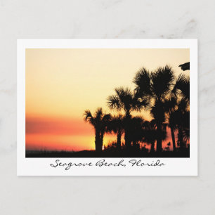 Florida Sunset Seagrove Beach Handflatan Träd Vykort