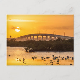 Florida Sunset Travel Photography - Titusville Vykort