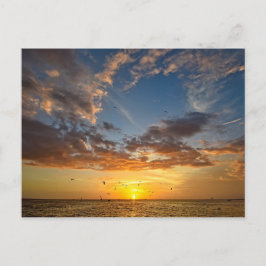 Florida Sunset - vykort