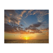 Florida Sunset - vykort
