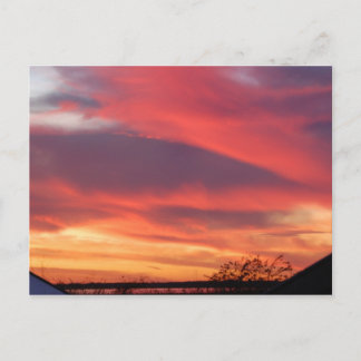 Florida Sunset Vykort