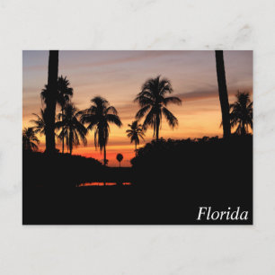 Florida sunset vykort
