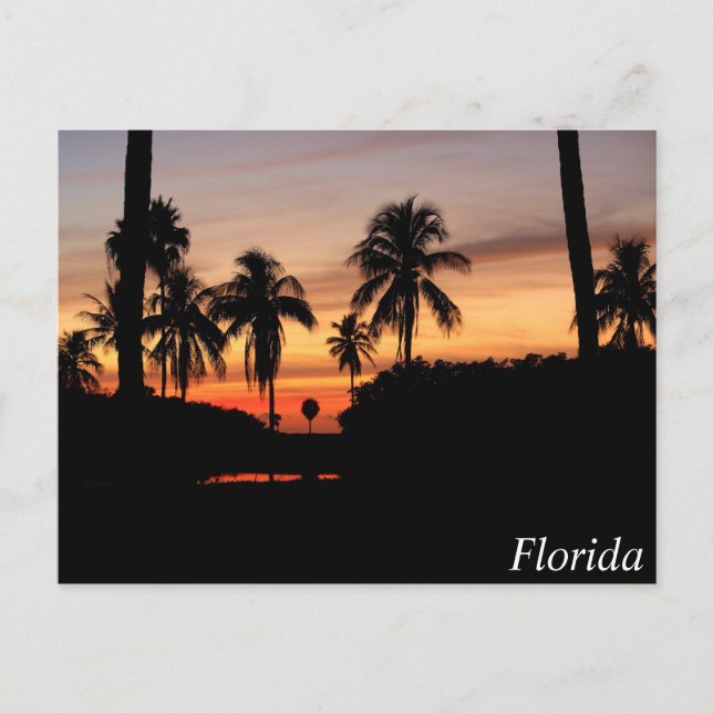 Florida sunset vykort (Framsida)