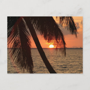 Florida Sunset Vykort