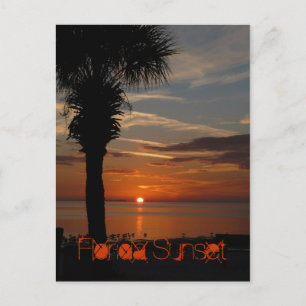 Florida Sunset Vykort