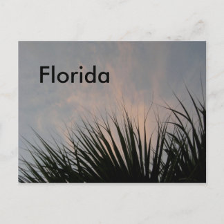 Florida Sunset - vykort