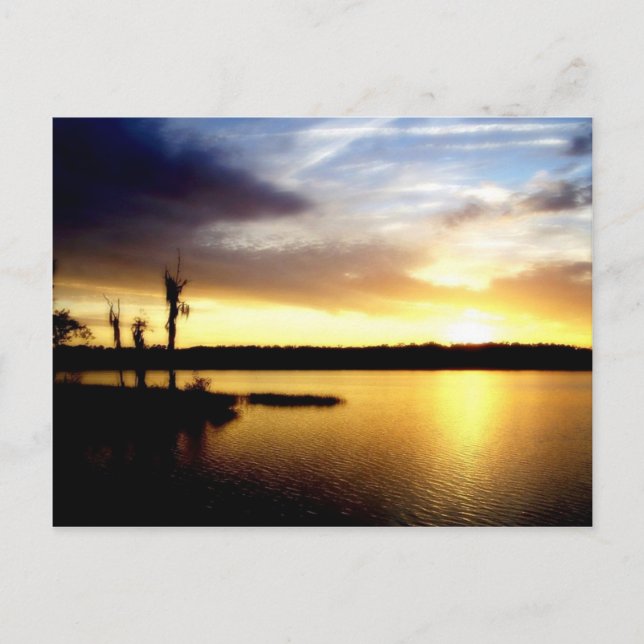 Florida Sunset Vykort (Framsida)