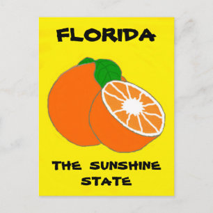 Florida Sunshine State.jpg Vykort