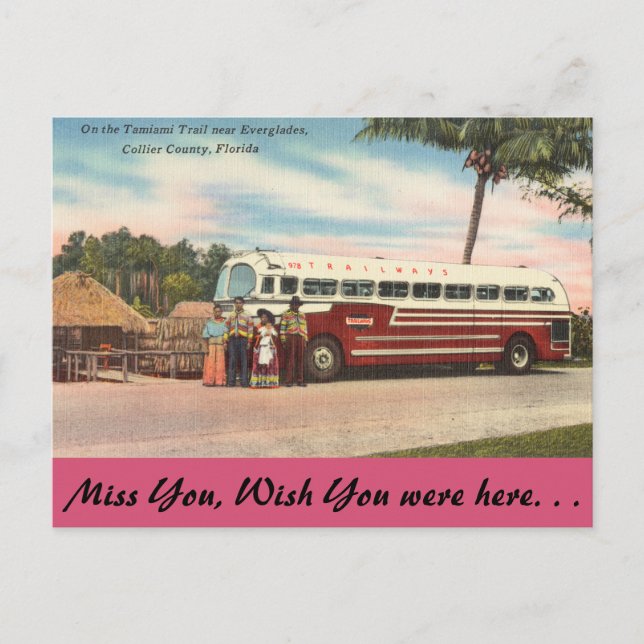 Florida, Tamiami Trail, Everglades Vykort (Framsida)