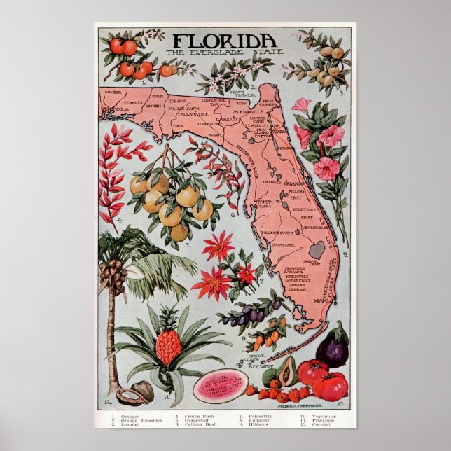 Florida The Everglade State, Resoraffisch Poster (Framsidan)
