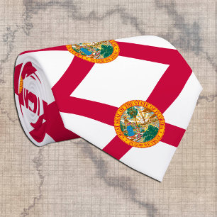 Florida Tie, business mode USA, Florida Flagga Slips