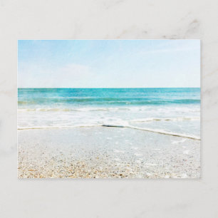 Florida Tropical Beach Sand Ocean Vinkarare Snäcko Vykort