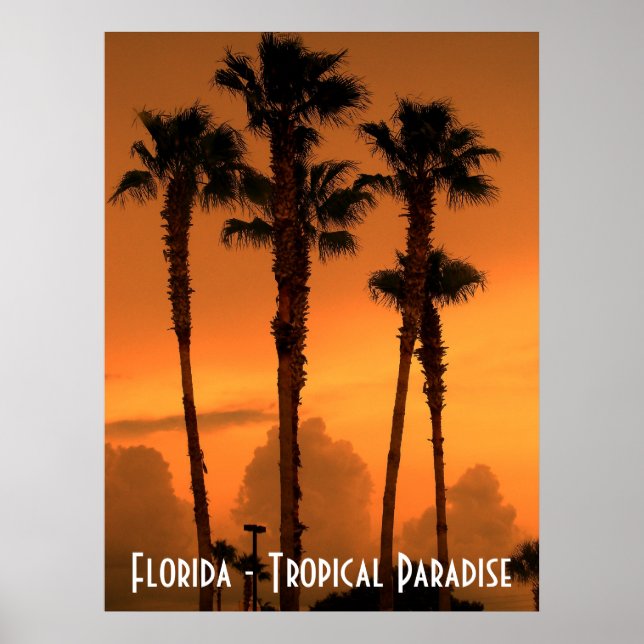 Florida Tropical Paradise Sunset Poster Photograph (Framsidan)