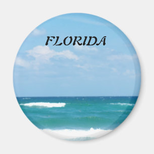 Florida Turkosvågor under klar himmel Magnet