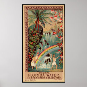 Florida Vatten Fontän i Vintagen Ungdom Poster