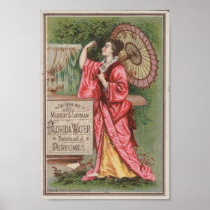 Florida Vatten Skriv ut Poster