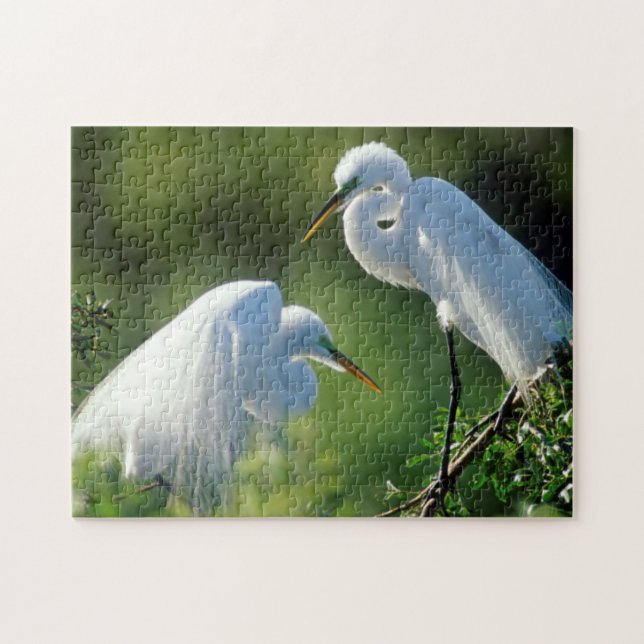 Florida, Venedig, Audubon Sanctuary, Ägretthäger Pussel (Horisontell)