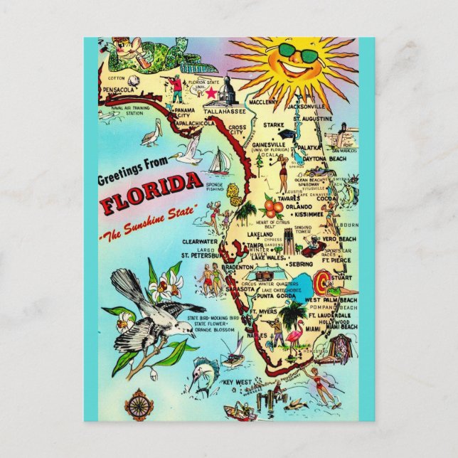 Florida Vintage Kantad Julkort Vykort (Framsida)