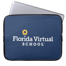 Florida Virtuell School, flottan