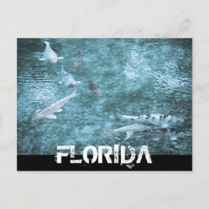 FLORIDA VYKORT