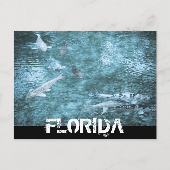 FLORIDA VYKORT (Framsida)