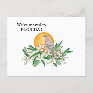 Florida Vykort