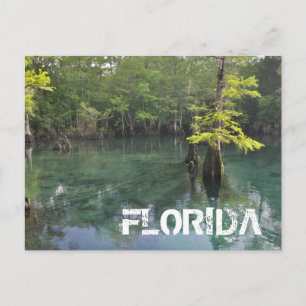 FLORIDA VYKORT