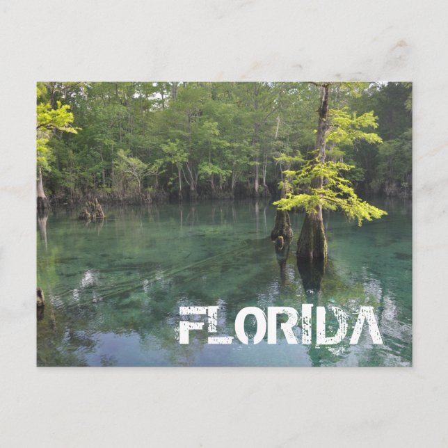 FLORIDA VYKORT (Framsida)