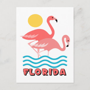 Florida Vykort