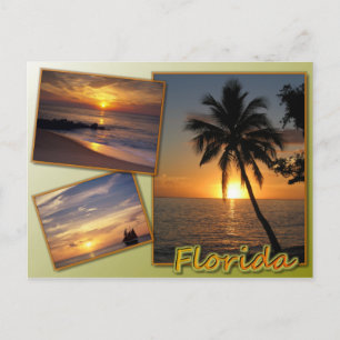 Florida Vykort
