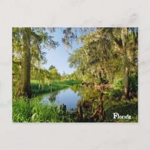 Florida Vykort