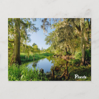 Florida Vykort