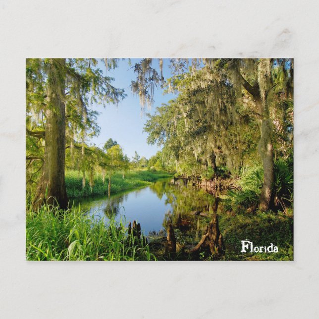 Florida Vykort (Framsida)