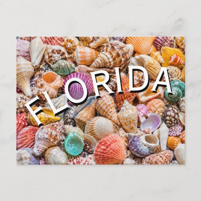 Florida  vykort (Framsida)