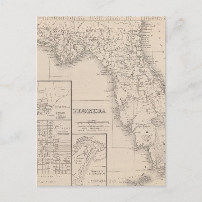 Florida Vykort (Framsida)