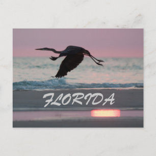 FLORIDA VYKORT