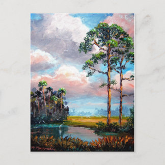 Florida Wilderness Vykort