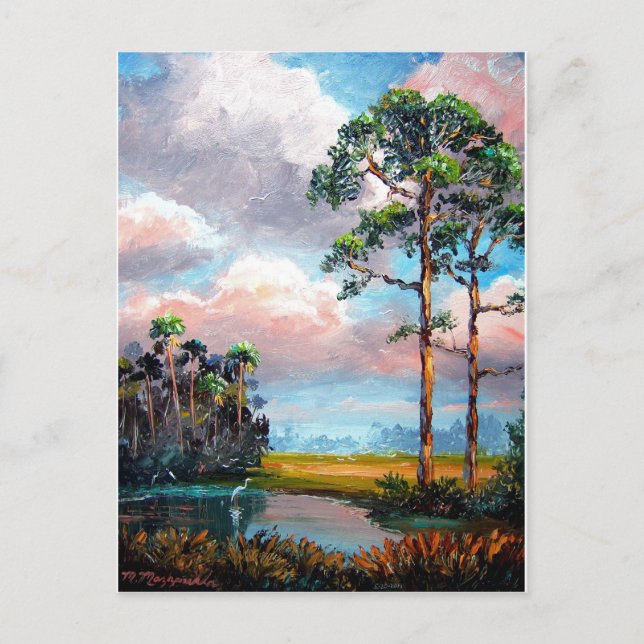 Florida Wilderness Vykort (Framsida)