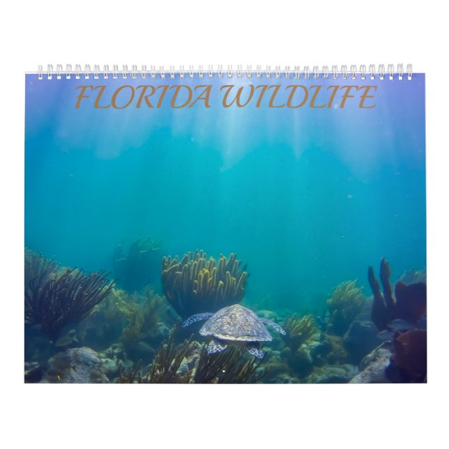 Florida Wildlife Calendar 2020 Kalender (Omslag)