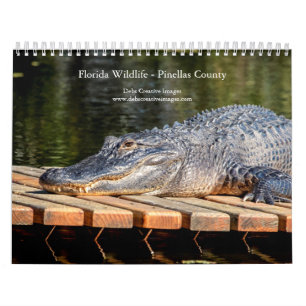 Florida Wildlife i Pinellas County 2026 Kalender