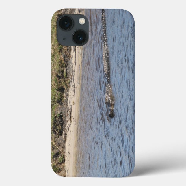 Floridas alligator simmar vilda djur (Baksida)