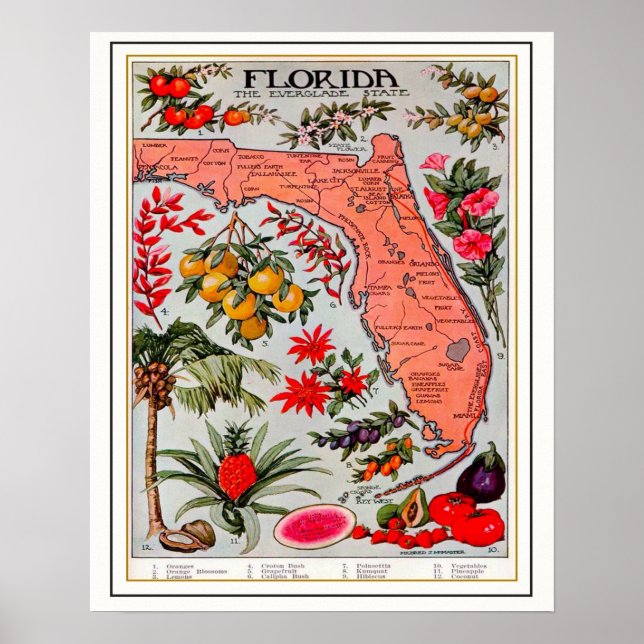 Florida's Bounty 16 x 20 Karta Poster (Framsidan)